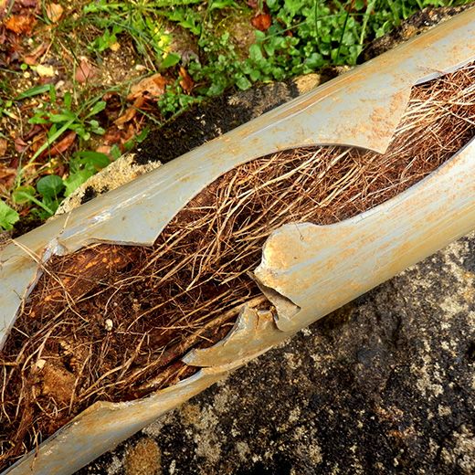 Same Day Drain Sewer & Rooter Pros Across Hill